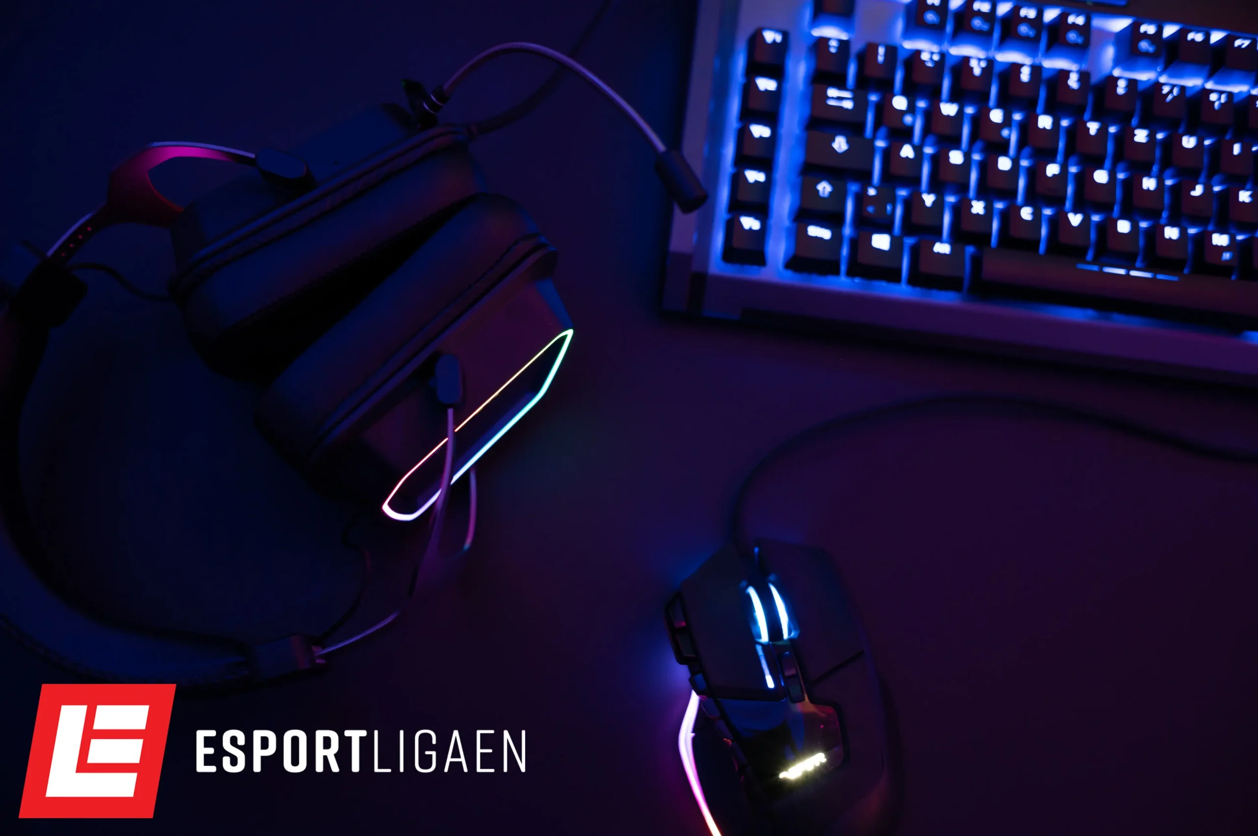 Esportligaen – Ungliga – EFTERÅR 2024